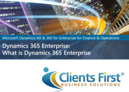 What is Dynamics 365 Enterprise